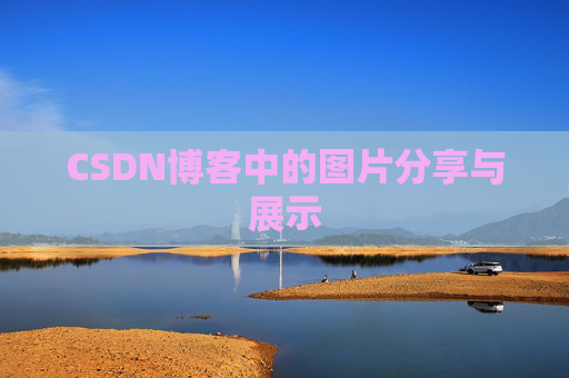 CSDN博客中的图片分享与展示